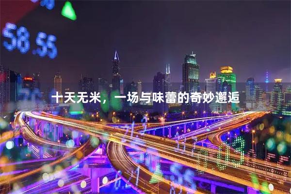 十天无米，一场与味蕾的奇妙邂逅